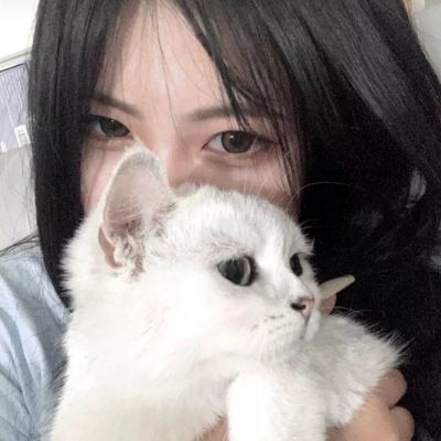 桃源仙境手游破解版下载