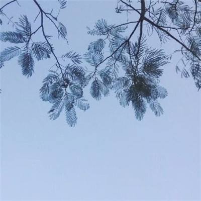 鳄鱼数独游戏(暂未上线)v1.4.4 安卓版